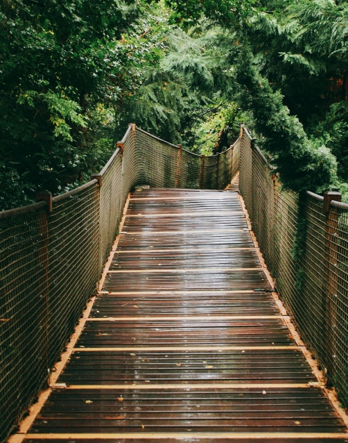Wooden footbridge representing the journey through EMDR therapy